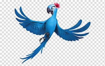 YouTube Animated cartoon Rio , parrot transparent background PNG clipart