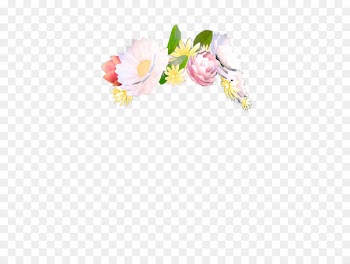 YouTube Flower Gfycat - Fillter 
