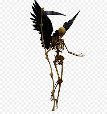YouTube Missing 411 Skull Wallpaper - Bones 