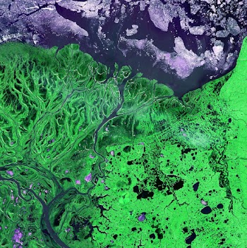 Yukon Kuskokwim river satellite view. | Free Photo - rawpixel