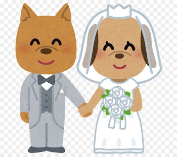 Yurika Mita Bridegroom Cat Wedding Husband - cat 