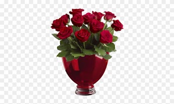 Yurinets Ida I Red Room 022 I Http - Dozen Roses