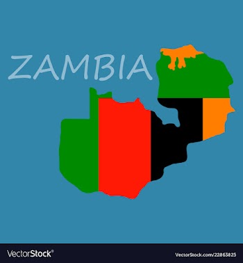 Zambia map and flag in white background vector image