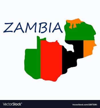 Zambia map and flag in white background vector image