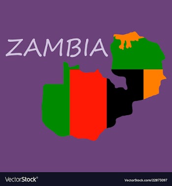 Zambia map and flag in white background vector image