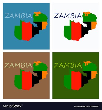 Zambia map and flag in white background vector image