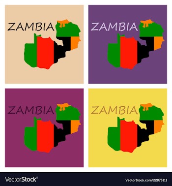 Zambia map and flag in white background vector image
