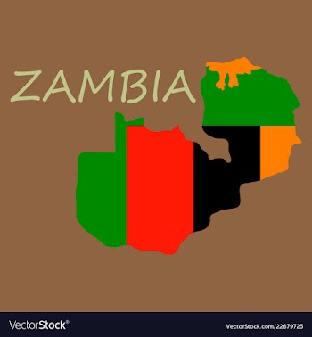 Zambia map and flag in white background vector image