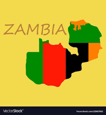 Zambia map and flag in white background vector image