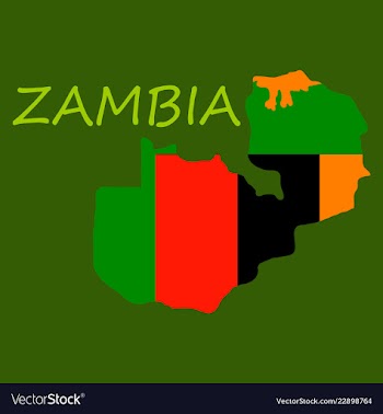 Zambia map and flag in white background vector image