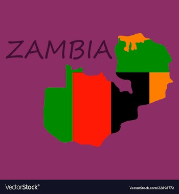 Zambia map and flag in white background vector image