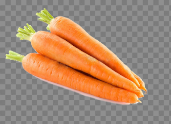 Zanahoria png 1 » PNG Image