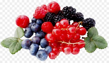 Zante currant Raspberry Blueberry Boysenberry Bilberry -  