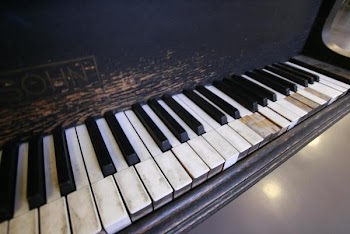 Zapotex 011.jpg