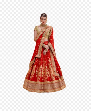 Zari Choli Lehenga Blouse Red - gold 