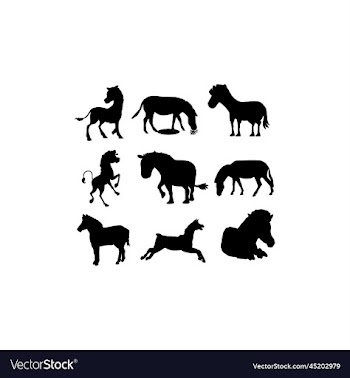 zebra animal collection set