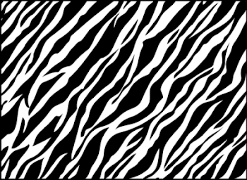 Zebra Background PNG - DLPNG.com