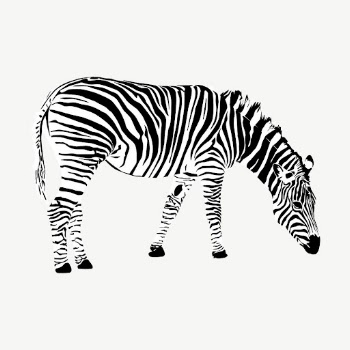 Zebra clipart, vintage animal illustration | Free Vector - rawpixel