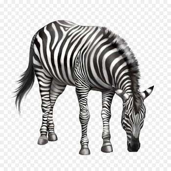 Zebra Drawing Clip art - Eating zebra bow 