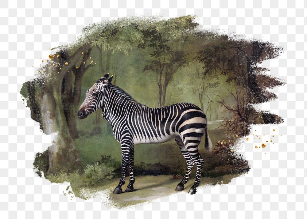 Zebra png, brush stroke reveal | Free PNG - rawpixel