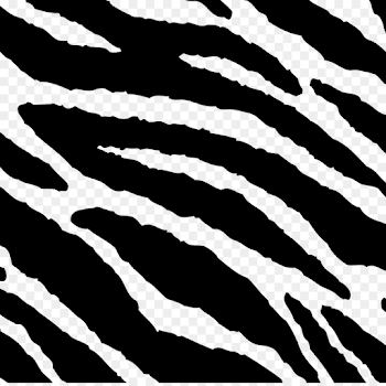 Zebra png download - 7765*7708 - Free Transparent Zebra png Download.