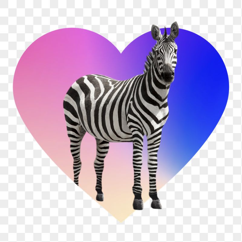 Zebra png, heart badge design | Free PNG - rawpixel