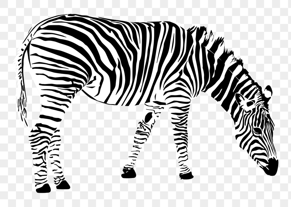 Zebra png sticker, vintage animal | Free PNG - rawpixel