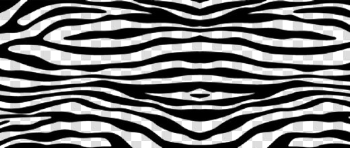 Zebra Print PNG High-Quality Image