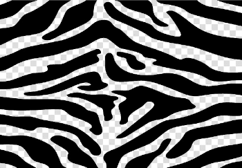 Zebra Print PNG Image