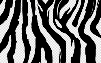 Zebra Print Transparent Background PNG | PNG Arts