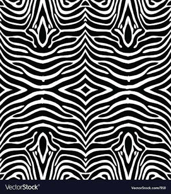 Zebra skin wallpaper vector image
