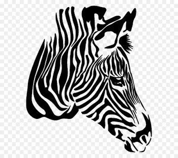 Zebra Vector graphics Drawing Illustration Image - zebra 
