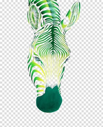 Zebra Watercolor painting Art Portrait, Abstract zebra transparent background PNG clipart
