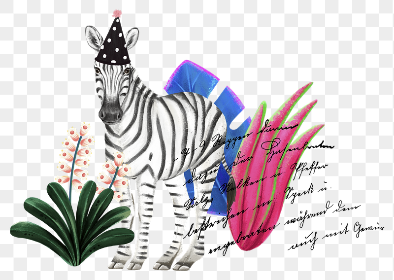 Zebra wildlife png sticker, cute | Free PNG Illustration - rawpixel