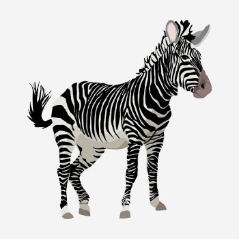 Zebra zoo animal clipart illustration. | Free Photo - rawpixel