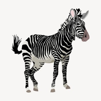 Zebra zoo animal clipart, illustration | Free Vector - rawpixel