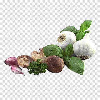 Zhangqiu District Vegetable Garlic Allium fistulosum Leaf, Common kitchen dishes transparent background PNG clipart