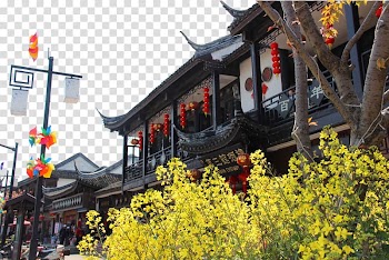Zhouzhuang Gusu District Yangtze River Delta Linan District Wuzhen, Autumn landscape of town transparent background PNG clipart