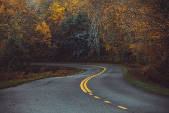 zig-zag concrete road in the middle of woods