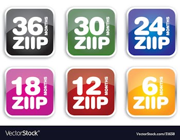 Ziip icons vector image