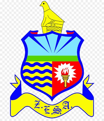 Zimbabwe Electricity Supply Authority Public utility Business Zimbabwe Power Company Limited - business 