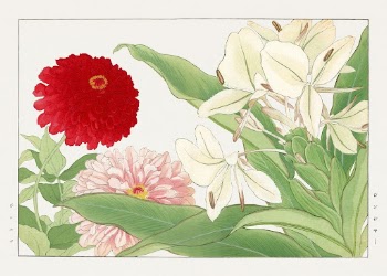Zinnia & white ginger lily | Free Photo Illustration - rawpixel