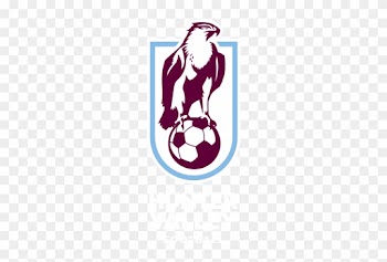 Zone Technical Director Hunter Valley Football - Hunter Valley Hawks Soccer