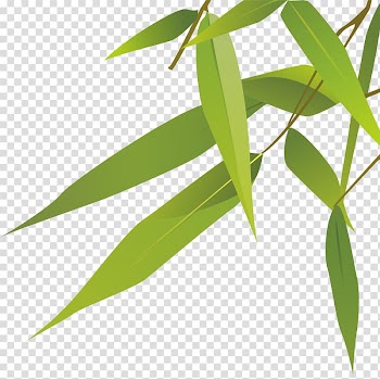 Zongzi Dragon Boat Festival u7aefu5348, Bamboo leaves transparent background PNG clipart