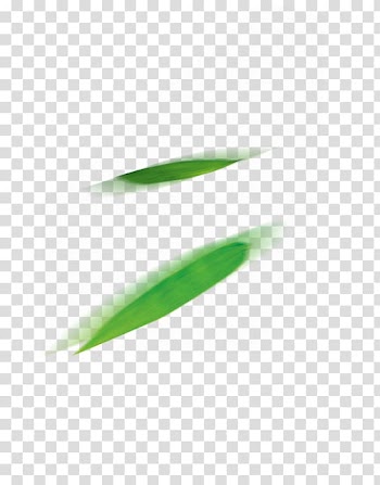 Zongzi , Fresh bamboo leaves transparent background PNG clipart