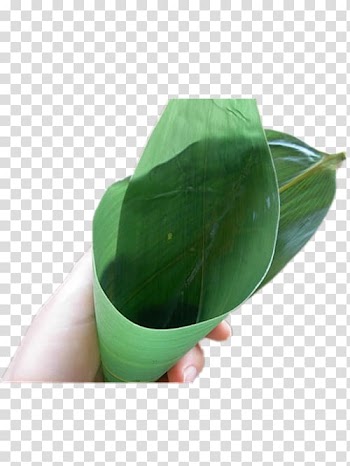 Zongzi Leaf Gratis, Bamboo leaves folded into a funnel-shaped transparent background PNG clipart