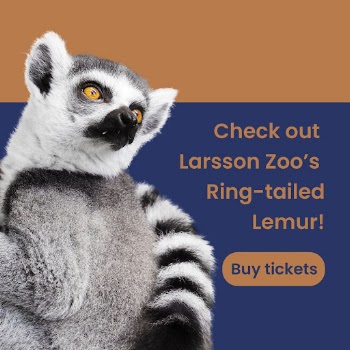 Zoo visiting Facebook post template | Free PSD Template - rawpixel