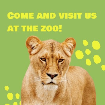 Zoo visiting Facebook post template | Free PSD Template - rawpixel