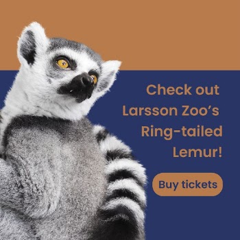 Zoo visiting Instagram post template | Free Vector Template - rawpixel