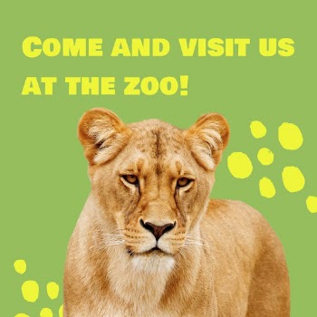 Zoo visiting Instagram post template | Free Vector Template - rawpixel